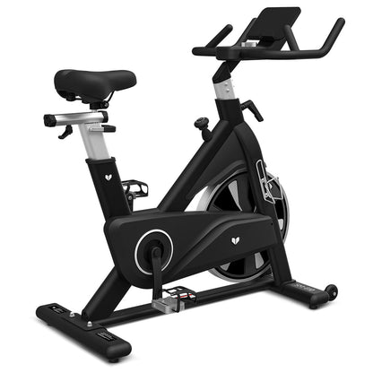 Lifespan Fitness SM810 Commercial Spin Bike