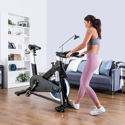 Lifespan Fitness SP-870 M3 Lifespan Fitness Commercial Spin Bike