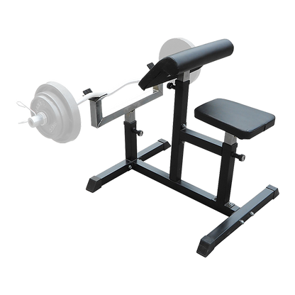 Preacher Curl Bench Weights Commercial Bicep Arms