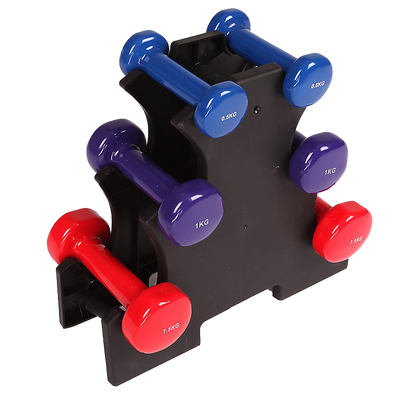 6-Piece Dumbbell Set with Rack