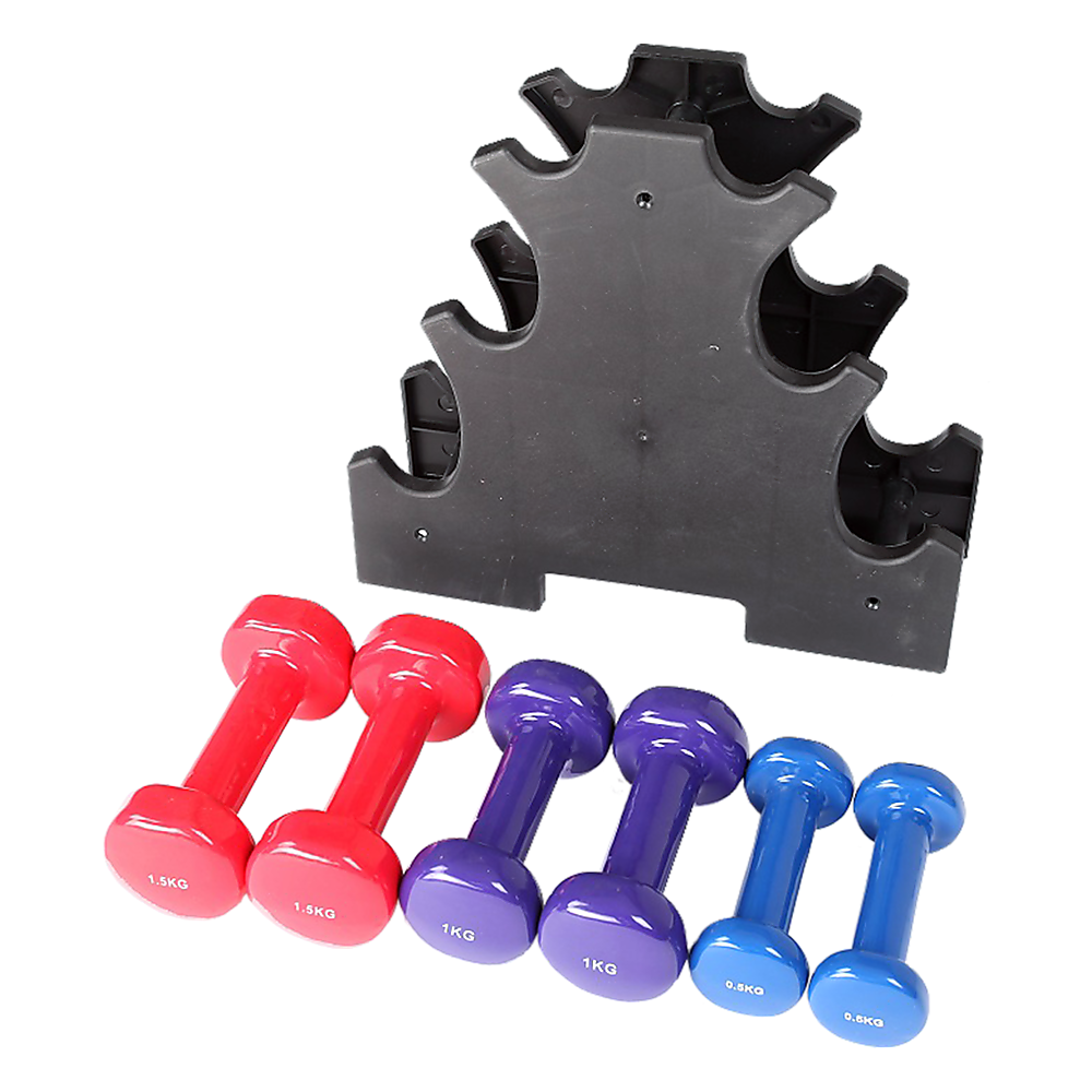 6-Piece Dumbbell Set with Rack