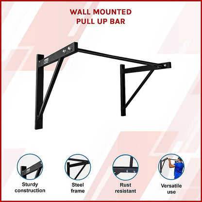 Wall Mounted Pull Up Bar